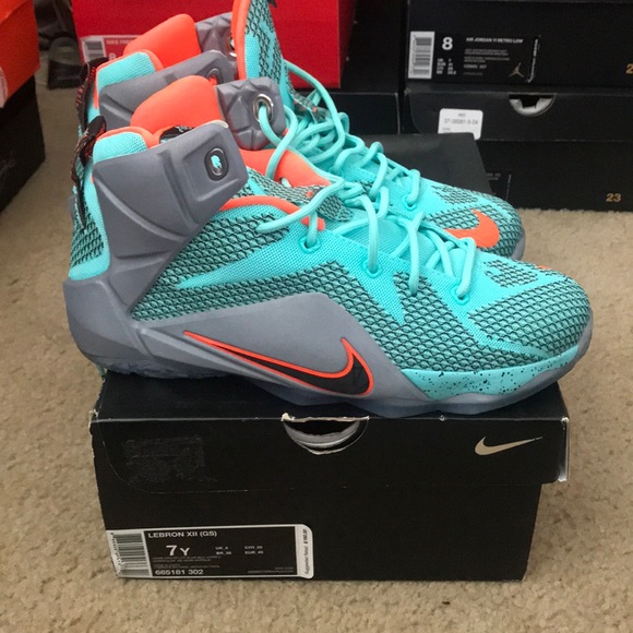 lebron 12 nsrl